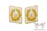 General Luftwaffe patties - Generalleutnant