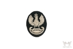 Unit Patch, Eagle of the Armored Forces, Polish Armed Forces in the West