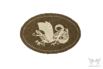 Shoulder Patch Insignia of the 1 Tank Regiment, Independent Armored Brigade, Polish Armed Forces in the West