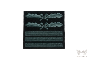 Rank insignia Wehrmacht and Waffen SS for Camouflage Uniforms - camo blouse 